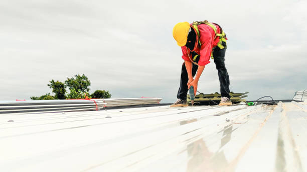 Best Green or Eco-Friendly Roofing Solutions  in Beaufort, NC